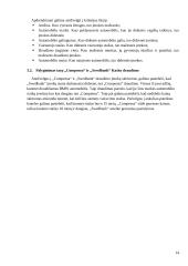 „Compensa“ ir „Swedbank“ rinkos analizė 13 puslapis