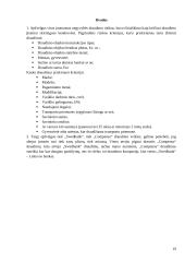 „Compensa“ ir „Swedbank“ rinkos analizė 18 puslapis