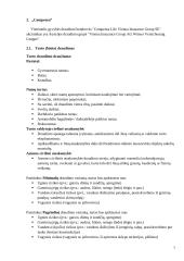 „Compensa“ ir „Swedbank“ rinkos analizė 6 puslapis