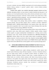 Integralios socialinės pagalbos teikimas asmenims turintiems proto negalią  16 puslapis