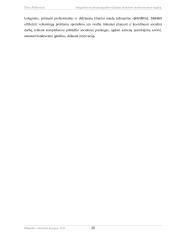 Integralios socialinės pagalbos teikimas asmenims turintiems proto negalią  19 puslapis