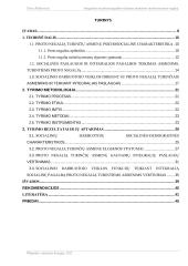 Integralios socialinės pagalbos teikimas asmenims turintiems proto negalią  6 puslapis