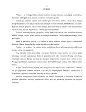 Įmonės tikslai, vadovavimo stiliai, sprendimų priėmimas 2 puslapis