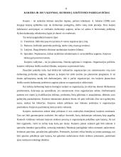 Įmonės tikslai, vadovavimo stiliai, sprendimų priėmimas 11 puslapis