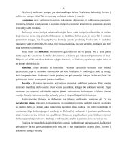 Įmonės tikslai, vadovavimo stiliai, sprendimų priėmimas 12 puslapis