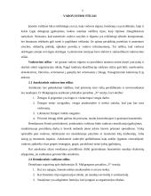 Įmonės tikslai, vadovavimo stiliai, sprendimų priėmimas 5 puslapis