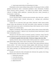 Įmonės tikslai, vadovavimo stiliai, sprendimų priėmimas 6 puslapis