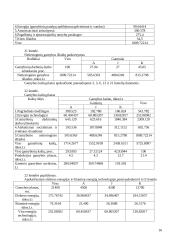 Vadybos planai ir planavimas 15 puslapis