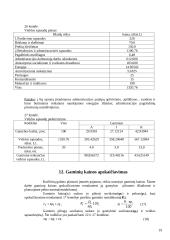 Vadybos planai ir planavimas 18 puslapis