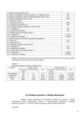 Vadybos planai ir planavimas 7 puslapis