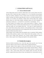 Higieniniai sanitariniai reikalavimai keliami kiaulių komplekso ar kiaulidės statybai ir įrengimui 3 puslapis