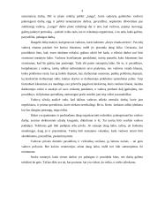 Vadyba. Valdymo lygiai. Vadovas. Kontrolės procesas. Konfliktai 4 puslapis