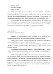 Vadyba. Valdymo lygiai. Vadovas. Kontrolės procesas. Konfliktai 6 puslapis