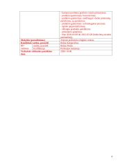 Šarnyro keitimas. Technologijų brandos egzamino darbo aprašas 3 puslapis