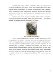 Šarnyro keitimas. Technologijų brandos egzamino darbo aprašas 8 puslapis