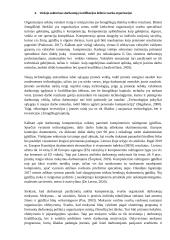 Medicinos darbuotojų kvalifikacijos kėlimas 7 puslapis