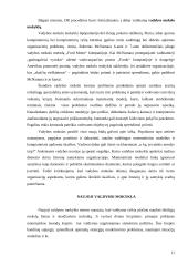 Vadybos raida nuo XX amžiaus antrosios pusės iki dabar iššūkių kontekste 11 puslapis