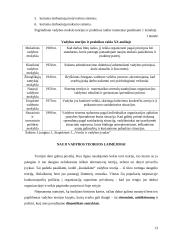 Vadybos raida nuo XX amžiaus antrosios pusės iki dabar iššūkių kontekste 13 puslapis