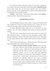 Vadybos raida nuo XX amžiaus antrosios pusės iki dabar iššūkių kontekste 16 puslapis