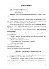 Vadybos raida nuo XX amžiaus antrosios pusės iki dabar iššūkių kontekste 5 puslapis