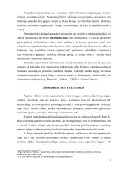 Vadybos raida nuo XX amžiaus antrosios pusės iki dabar iššūkių kontekste 7 puslapis