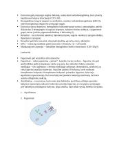 Kraujotaka. Konspektas 2 puslapis