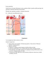 Kraujotaka. Konspektas 12 puslapis
