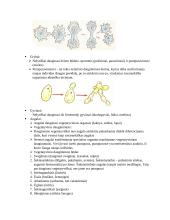 Kraujotaka. Konspektas 13 puslapis