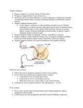 Kraujotaka. Konspektas 19 puslapis