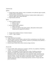 Kraujotaka. Konspektas 5 puslapis