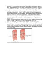 Kraujotaka. Konspektas 6 puslapis