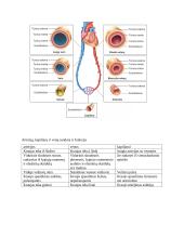 Kraujotaka. Konspektas 7 puslapis