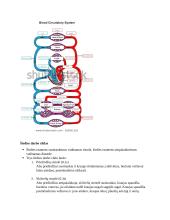Kraujotaka. Konspektas 10 puslapis