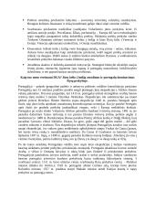 Ankstyvieji naujieji laikai (ankstyvoji modernybė) ir naujieji amžiai (modernybė) 3 puslapis