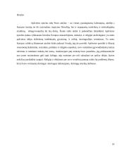 Apšvieta Europoje XVIII a. 9 puslapis