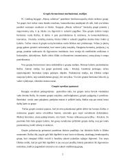 Atvejo analizės aprašas (Knyga W. Golding „Musių Valdovas‟ 1954m.). Grupės formavimosi mechanizmai, stadijos