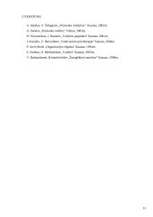 Vadovavimo stiliai UAB "Jūrmedia" 13 puslapis