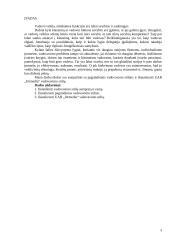 Vadovavimo stiliai UAB "Jūrmedia" 3 puslapis