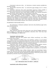 Vadovavimo stiliai UAB "Jūrmedia" 5 puslapis