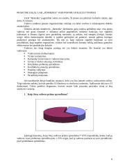 Vadovavimo stiliai UAB "Jūrmedia" 8 puslapis