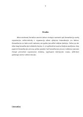 Vadovo komunikacijos 8 puslapis