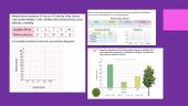 Stulpelinės diagramos ir dažnių lentelės 8 puslapis