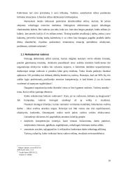 Vadovo vaidmuo organizacinėje veikloje. Personalo vadyba 10 puslapis