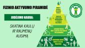 Sveika gyvensena ir statistika. Pamokos plano pristatymas 10 puslapis