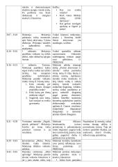 Matematikos pamokos planas 4 klasei. Statistika  2 puslapis