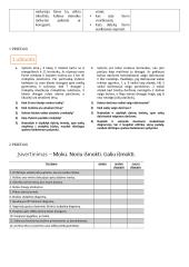 Matematikos pamokos planas 4 klasei. Statistika  3 puslapis