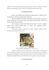  AB „Pieno žvaigždės“ produkto „Dvaro“  logistinė grandinės analizė 16 puslapis