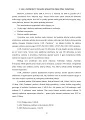 Uždarosios akcinės bendrovės „Tandemus“ pajamų apskaita 10 puslapis