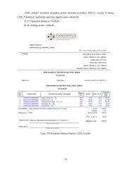 Uždarosios akcinės bendrovės „Tandemus“ pajamų apskaita 11 puslapis
