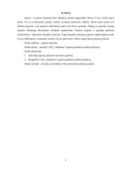 Uždarosios akcinės bendrovės „Tandemus“ pajamų apskaita 2 puslapis